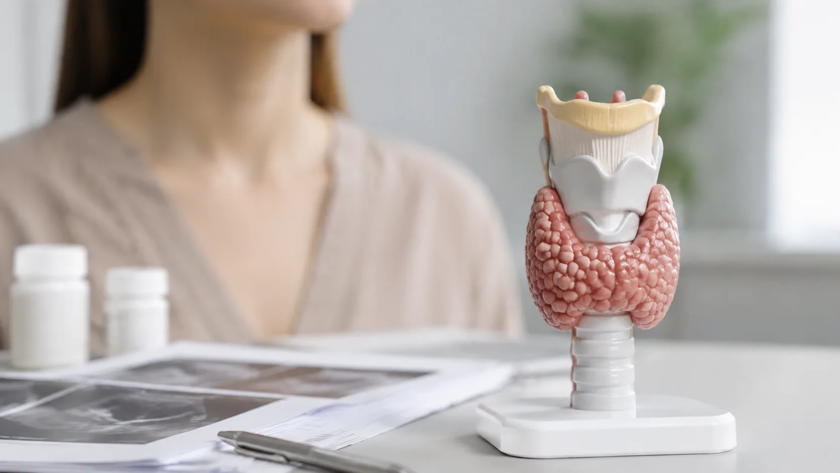 Anatomiczny model tarczycy obok materiałów diagnostycznych